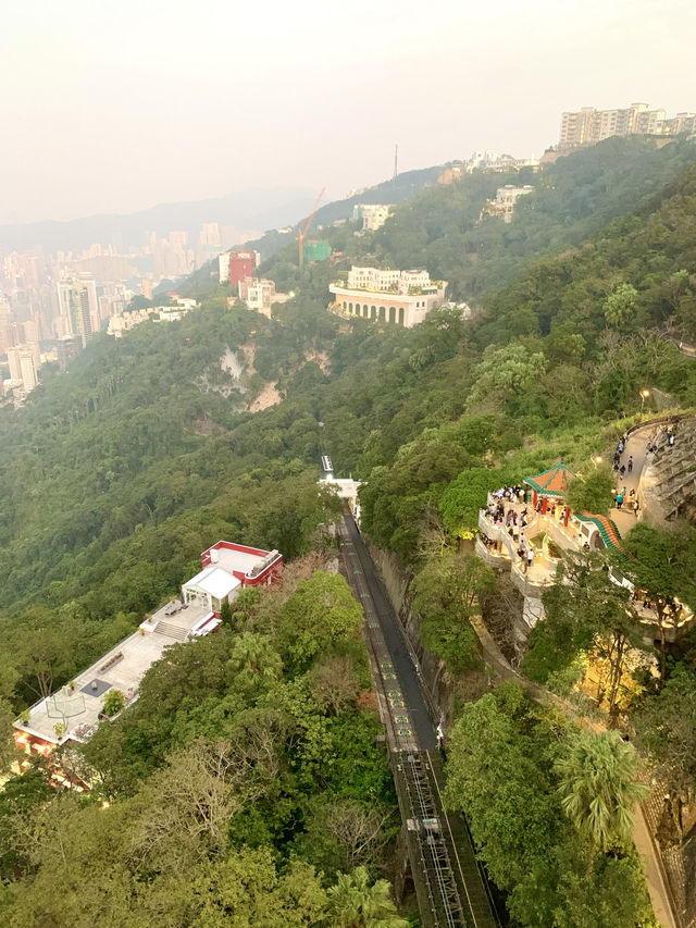 香港　香港観光　 Sky terrace428からの景色はイイぞ！