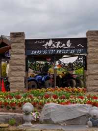 【北海道好去處】美瑛免費入場的薰衣草花田