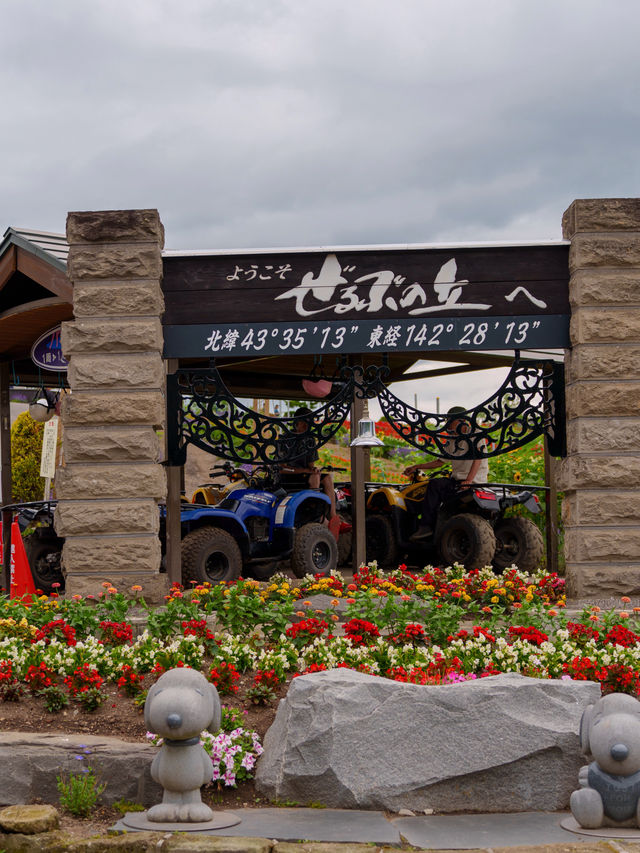 【北海道好去處】美瑛免費入場的薰衣草花田
