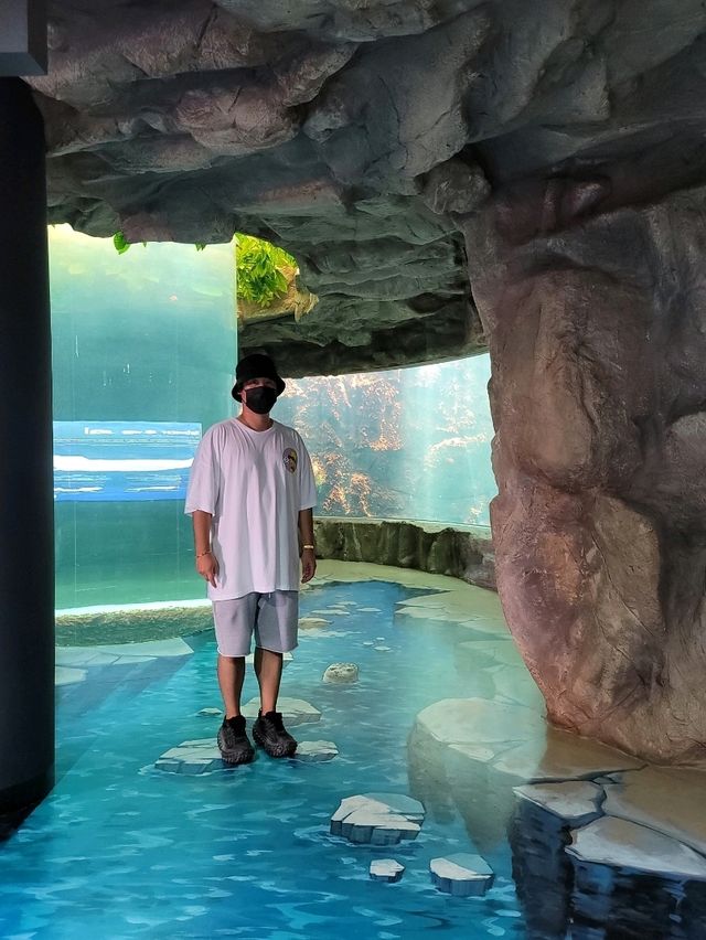 여름에 즐기기 좋은 여수 실내데이트는 여기