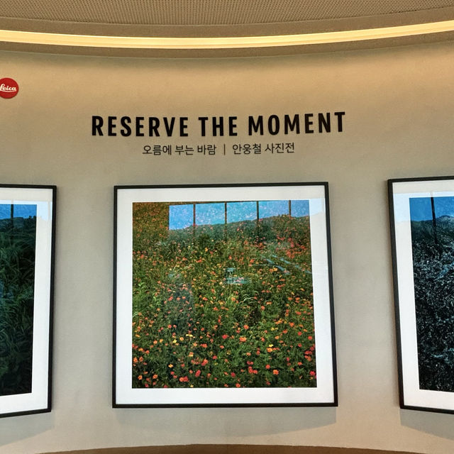 제주여행🏝️ 동쪽 송당 동화마을에서 만나는 특별한 스타벅스 파크☕️