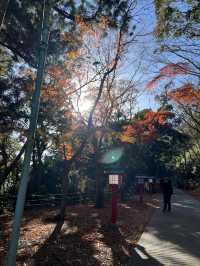 東京｜高尾山一日遊散策