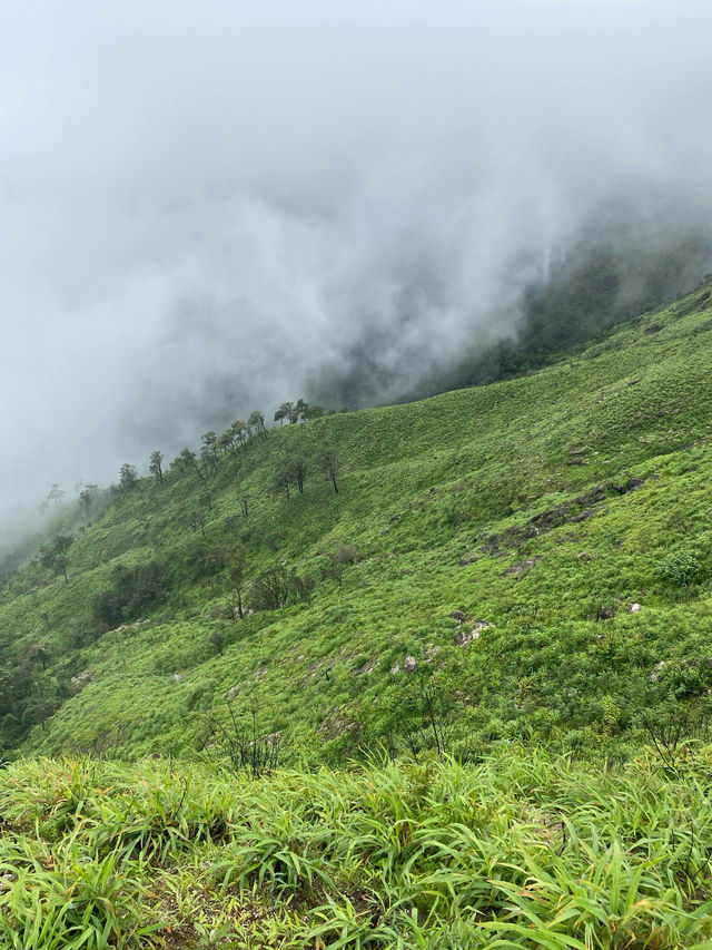 ฤดูฝนที่เปรโต๊ะลอซู จ.ตาก ⛰️🌧️🌿🥾