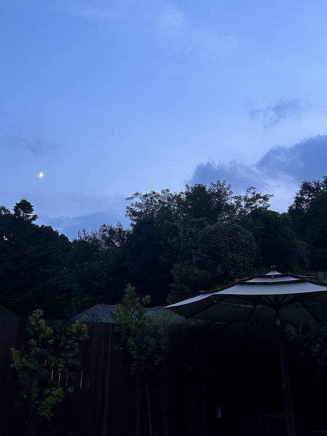 애견동반 가능한 충주 독채 신상숙소 🐶🏡