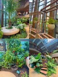 入場料たったの100円🫣✨大都会にあるオアシス🕊🌿💗【東京・渋谷】