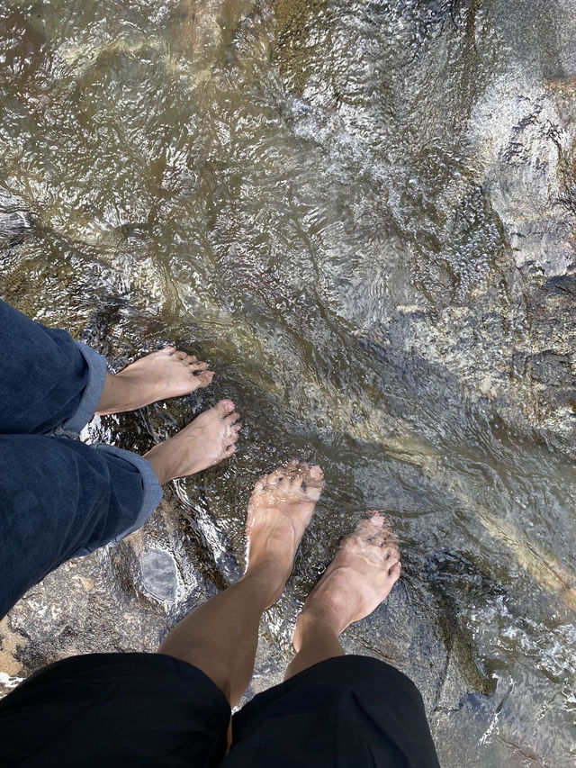 น้ำตกแม่ยะ | เชียงใหม่ ⛰️🌧️🪨🌿