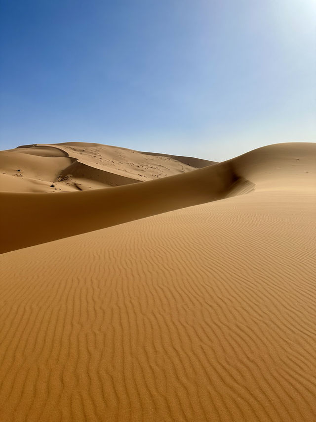 🏜️ Experience the Thrill of Quad Biking in the Merzouga Desert 🏍️