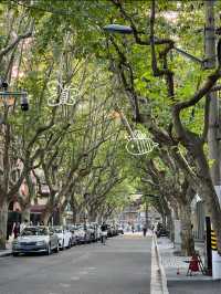 Is this the most trendy street in Shanghai?! 🌞