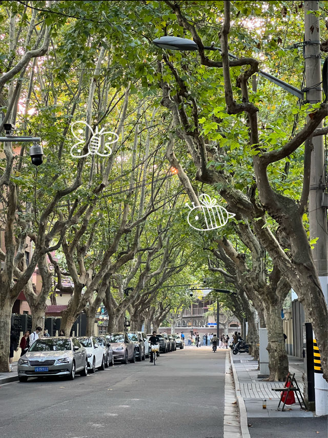 Is this the most trendy street in Shanghai?! 🌞