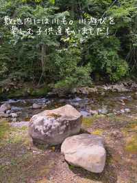 家族連れ大満足！夏休みオススメスポット！木曽おもちゃ美術館