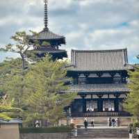 Oldest Wooden Structure on Earth - Horyu Ji