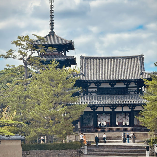 Oldest Wooden Structure on Earth - Horyu Ji