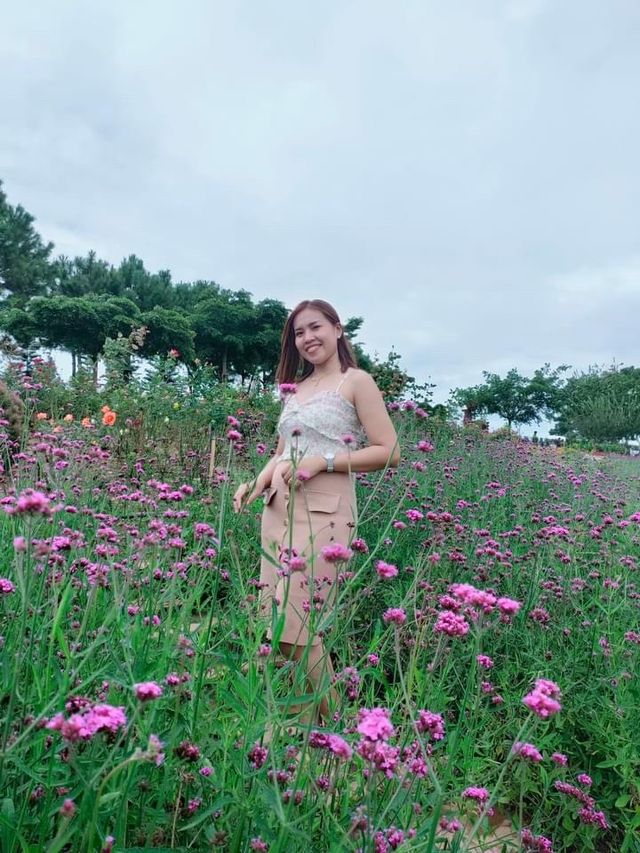 นอนดูหมอกฟินๆที่สุชาดา แกลมปิ้ง ⛺️✨