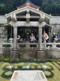 【京阪神五至七日遊】貓🐱風列車、合掌村、清水寺、心齋橋購物，穿和服遊京都