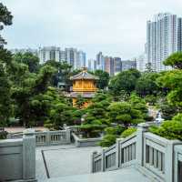 A Peaceful Escape to Chi Lin Nunnery