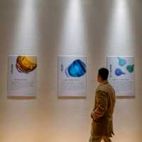 ชมศิลปะแห่งแก้วที่ Toyama Glass Art Museum กัน
