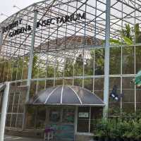 Step into a colorful paradise at Bangkok Butterfly Garden and Insectarium!