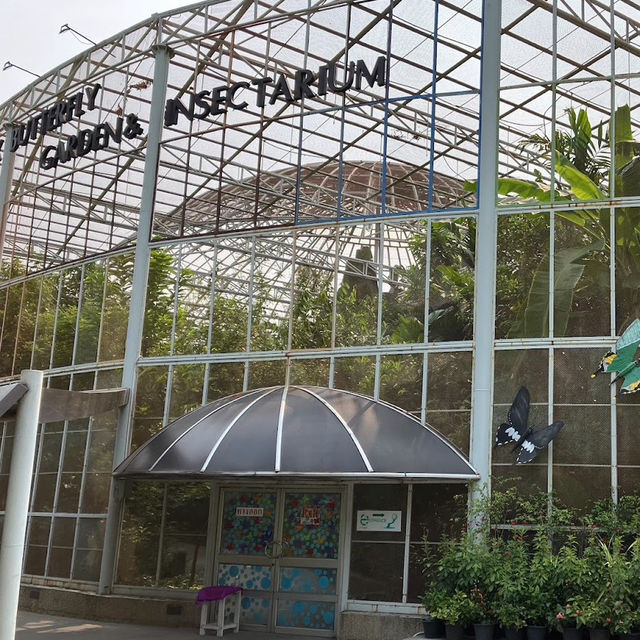 Step into a colorful paradise at Bangkok Butterfly Garden and Insectarium!