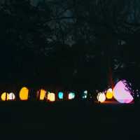 ไปดู Digiata Art สุดเท่ที่ teamLab Osaka กัน