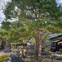 守護松本商店街的神秘存在〔四柱神社〕