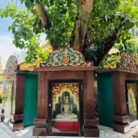 keen to see Burmese Buddhist temple in Penang