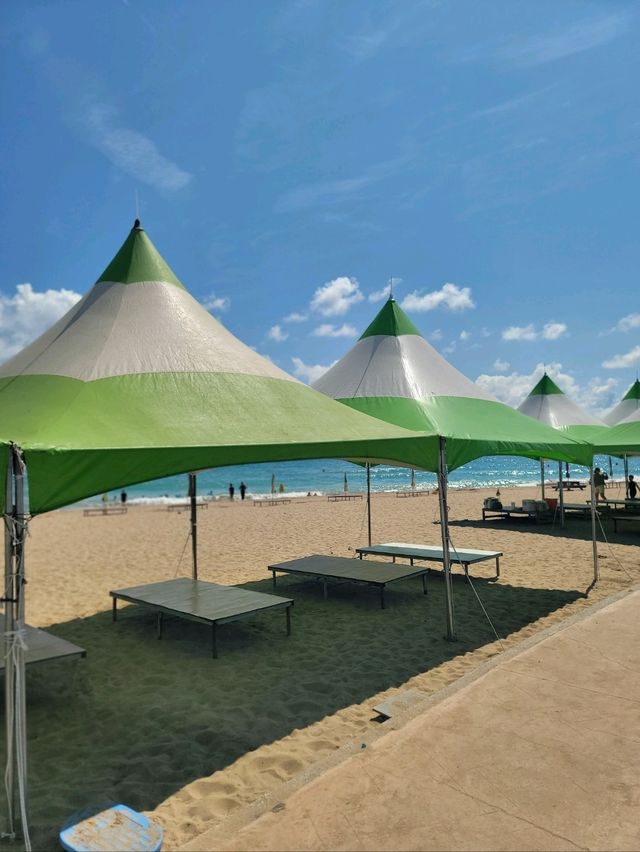 7번국도의 아름다운 포항 해수욕장🏖