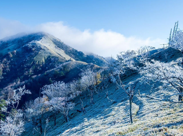 劍山 劍山
