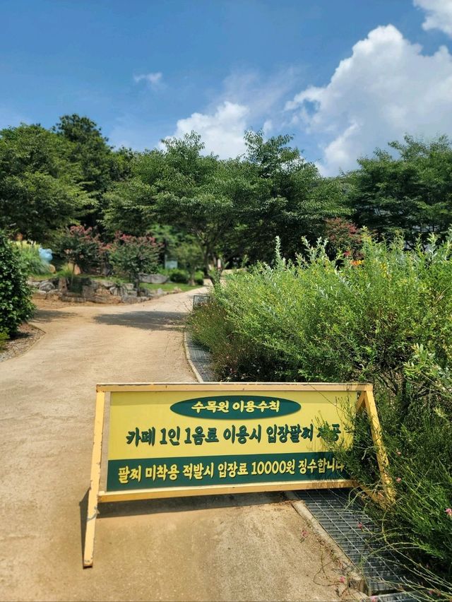 배롱나무와 유럽수국이 예쁜 장성수목원💜