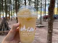  📍🍂 Phupha Coffee Camp