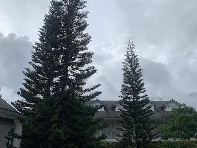 📍TheBlueSkyResort เขาค้อ