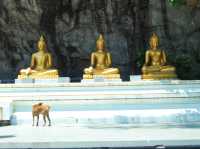 วัดพระพุทธฉาย จ.สระบุรี