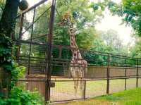 一個努力撇除蘇聯味道的動物園
