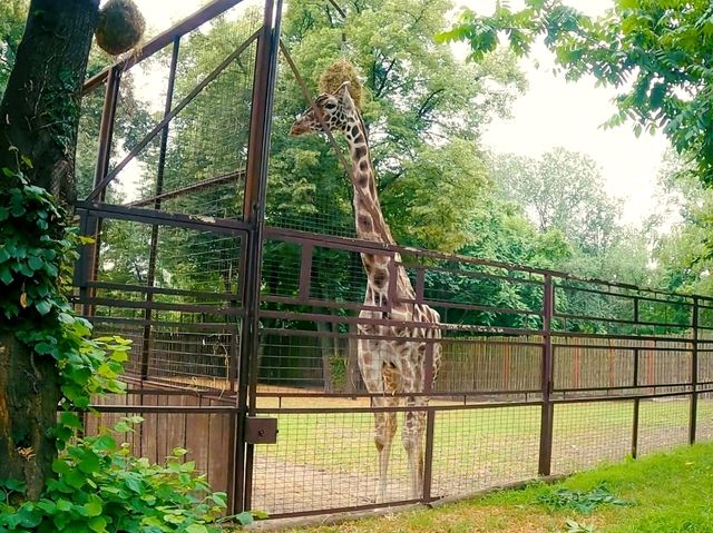 一個努力撇除蘇聯味道的動物園