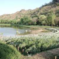 “CHAN Nature Cafe’”