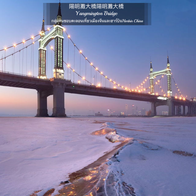 陽明灘大橋 Yangmingtan Bridge 