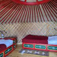 Mongolian Nomadic Homestay