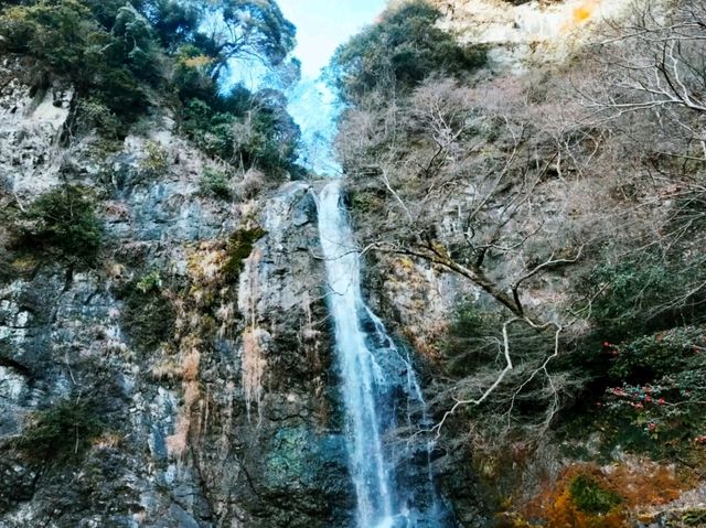 是大阪最近的國家公園