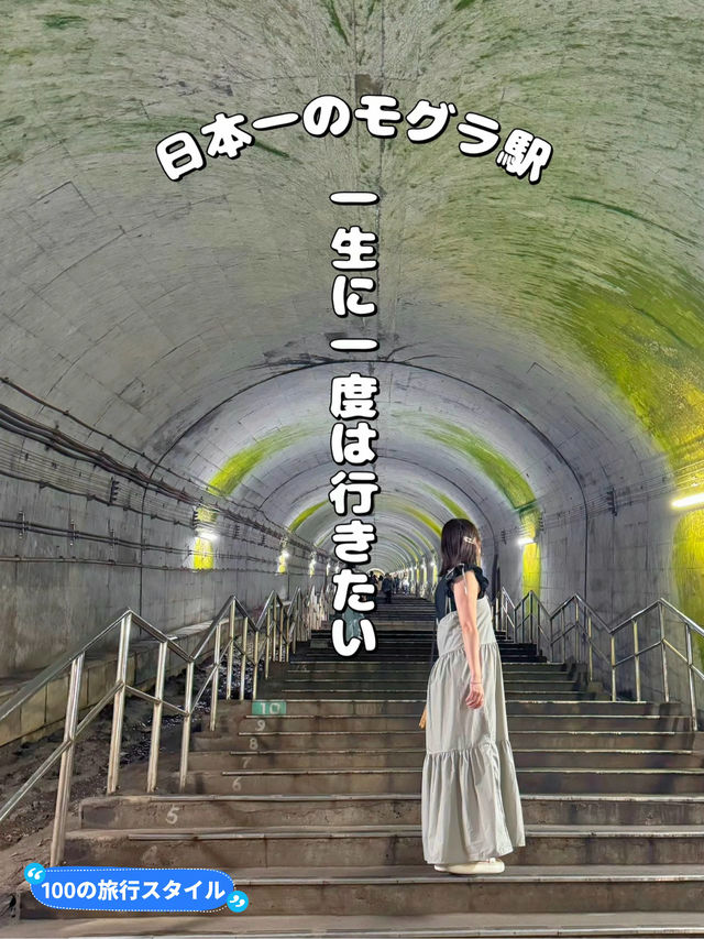 【群馬】連休どこ行く？まるで地下の秘密基地✨日本一の地下駅に行こう!!