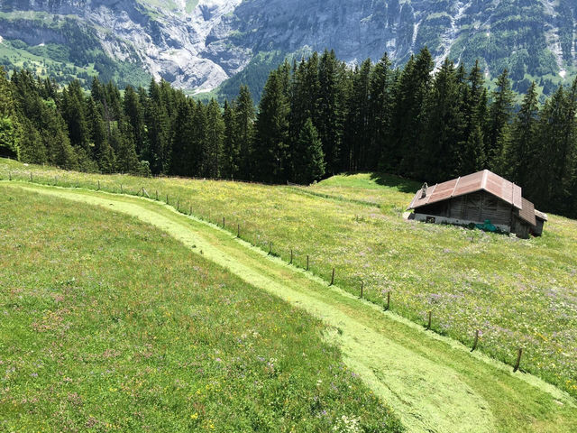 พาขึ้นยอดเขา🏔️ Grindelwald First 