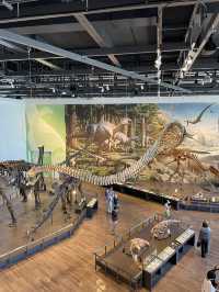 【長崎県:野母崎】大迫力の恐竜の化石を見て学べる展示