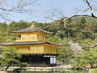 【京都/北区】一度は見てみたい鹿苑寺