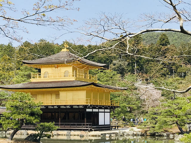 【京都/北区】一度は見てみたい鹿苑寺