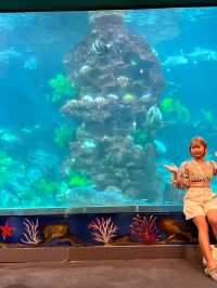 Vin Wonder Nha Trang Aquarium 🐠🪼
