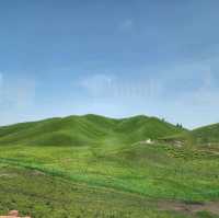 ทุ่งหญ้านาลาถี ช่วงเดือนมิถุนายน 2024 สวยมากกกก
