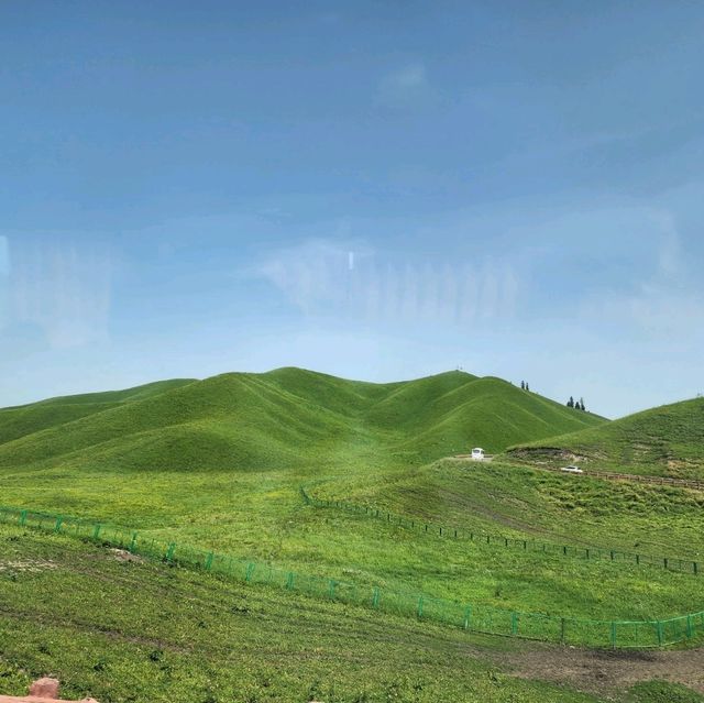 ทุ่งหญ้านาลาถี ช่วงเดือนมิถุนายน 2024 สวยมากกกก