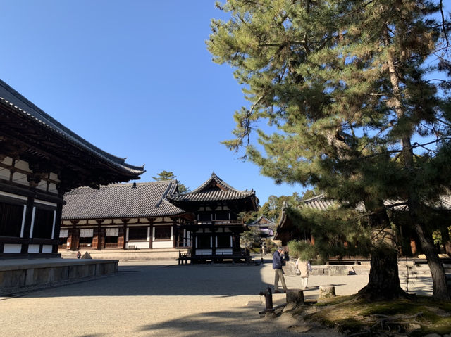 唐招提寺