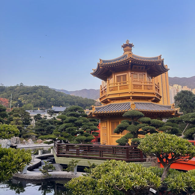 香港世外桃源景點「南蓮園池」