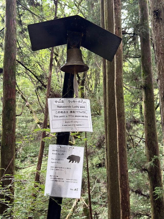 Magome Pass: Japan’s Most Famous Hiking Route 🥾