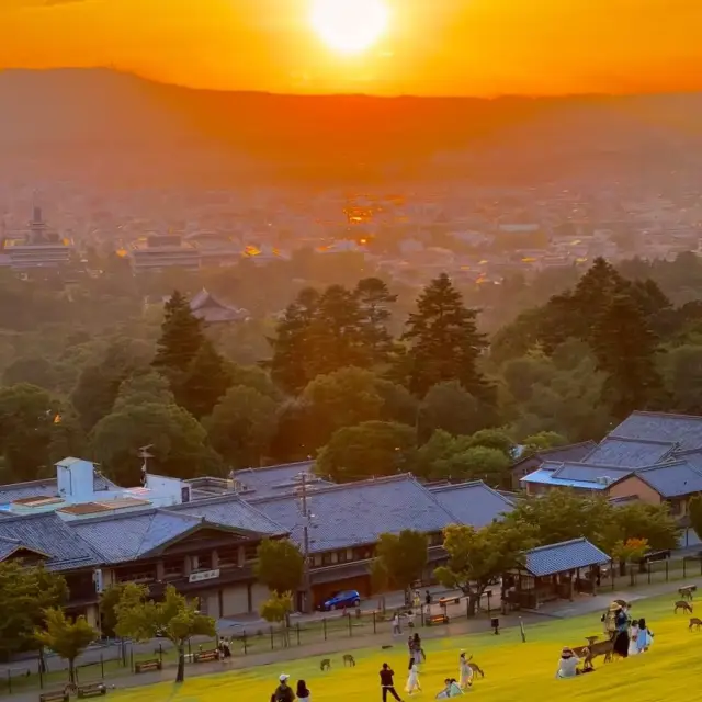 奈良！！！！追到了日落🌅