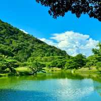 花田苑：鳥語花香的日本庭院夢🌸🐟